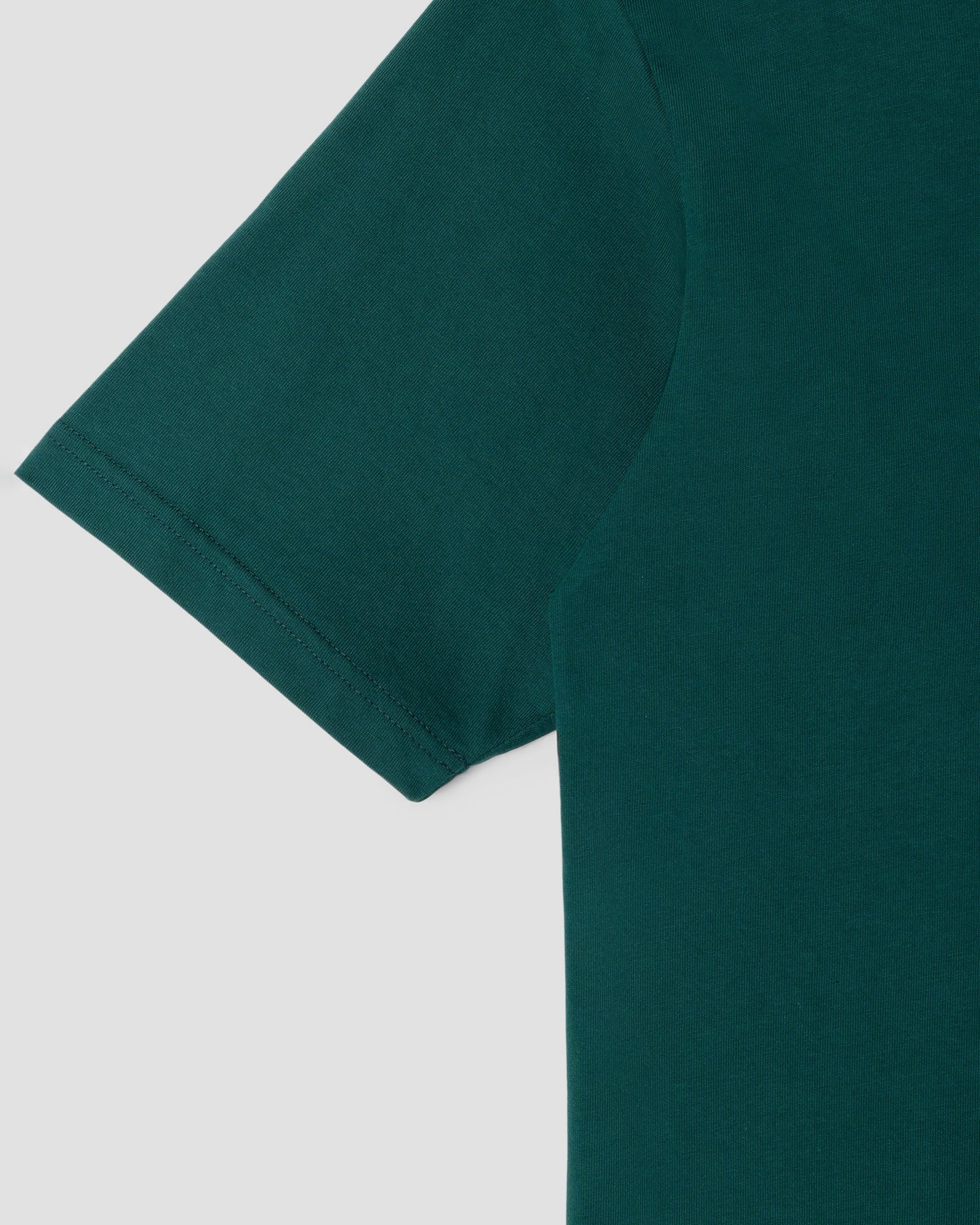 Stan Ray Polar State T-Shirt Botanical Green